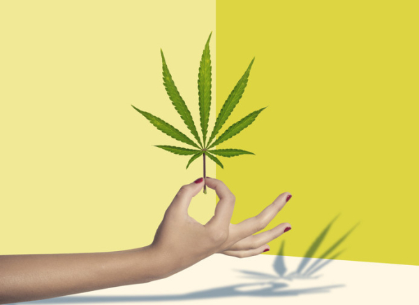 Read more about the article Are women turning to cannabis for menopause symptom relief?
